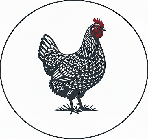 The Barnevelder